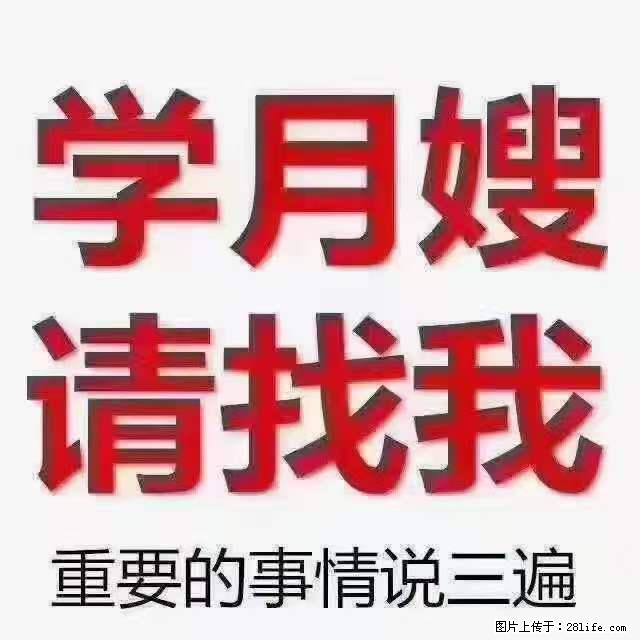 为什么要学习月嫂，育婴师？ - 其他广告 - 广告专区 - 包头分类信息 - 包头28生活网 bt.28life.net