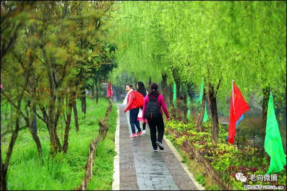 【春天，广西桂林灌阳县向您发出邀请！】江口老街又逢春 - 游山玩水 - 包头生活社区 - 包头28生活网 bt.28life.net