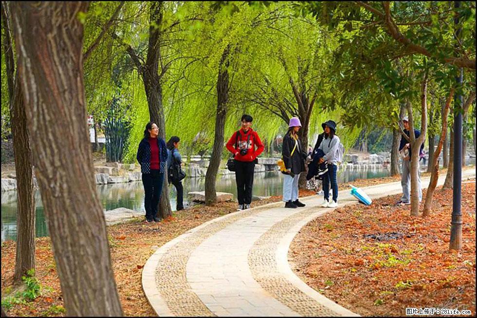 【春天，广西桂林灌阳县向您发出邀请！】江口老街又逢春 - 游山玩水 - 包头生活社区 - 包头28生活网 bt.28life.net