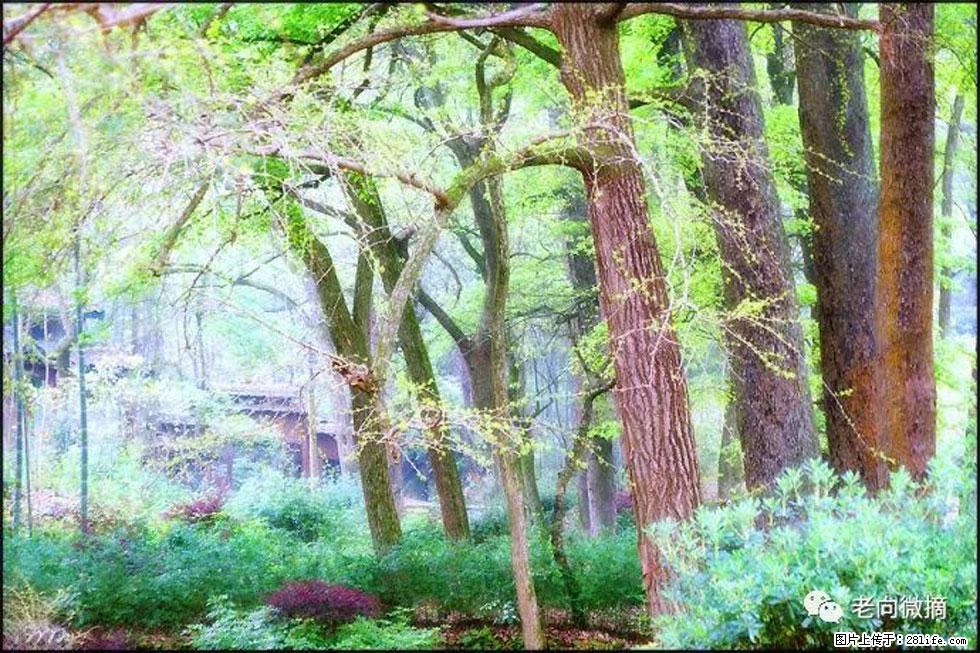 【春天，广西桂林灌阳县向您发出邀请！】在小龙村与春天约会 - 游山玩水 - 包头生活社区 - 包头28生活网 bt.28life.net