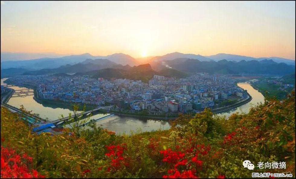 【春天，广西桂林灌阳县向您发出邀请！】登麒麟山，相约映山红 - 游山玩水 - 包头生活社区 - 包头28生活网 bt.28life.net