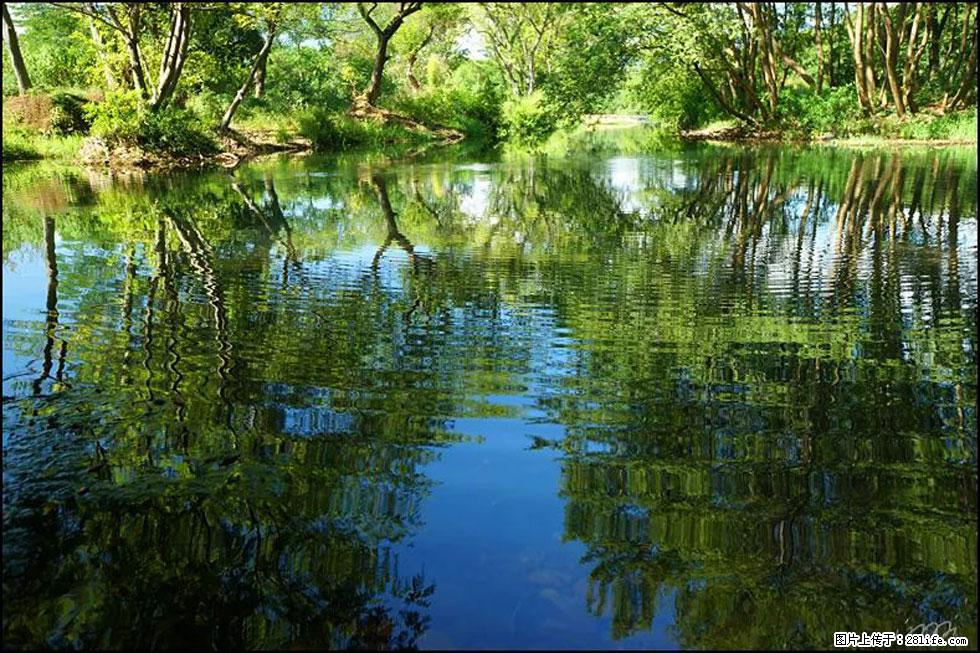 【春天，广西桂林灌阳县向您发出邀请！】熊家寨湿地公园 - 游山玩水 - 包头生活社区 - 包头28生活网 bt.28life.net