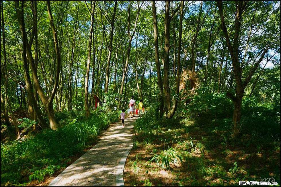 【春天，广西桂林灌阳县向您发出邀请！】熊家寨湿地公园 - 游山玩水 - 包头生活社区 - 包头28生活网 bt.28life.net