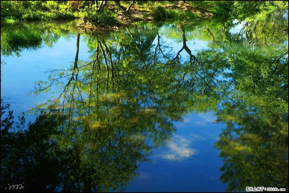 【春天，广西桂林灌阳县向您发出邀请！】熊家寨湿地公园 - 游山玩水 - 包头生活社区 - 包头28生活网 bt.28life.net