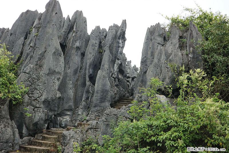 桂林旅游名城景点：灌阳文市石林 - 游山玩水 - 包头生活社区 - 包头28生活网 bt.28life.net