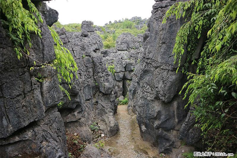 桂林旅游名城景点：灌阳文市石林 - 游山玩水 - 包头生活社区 - 包头28生活网 bt.28life.net