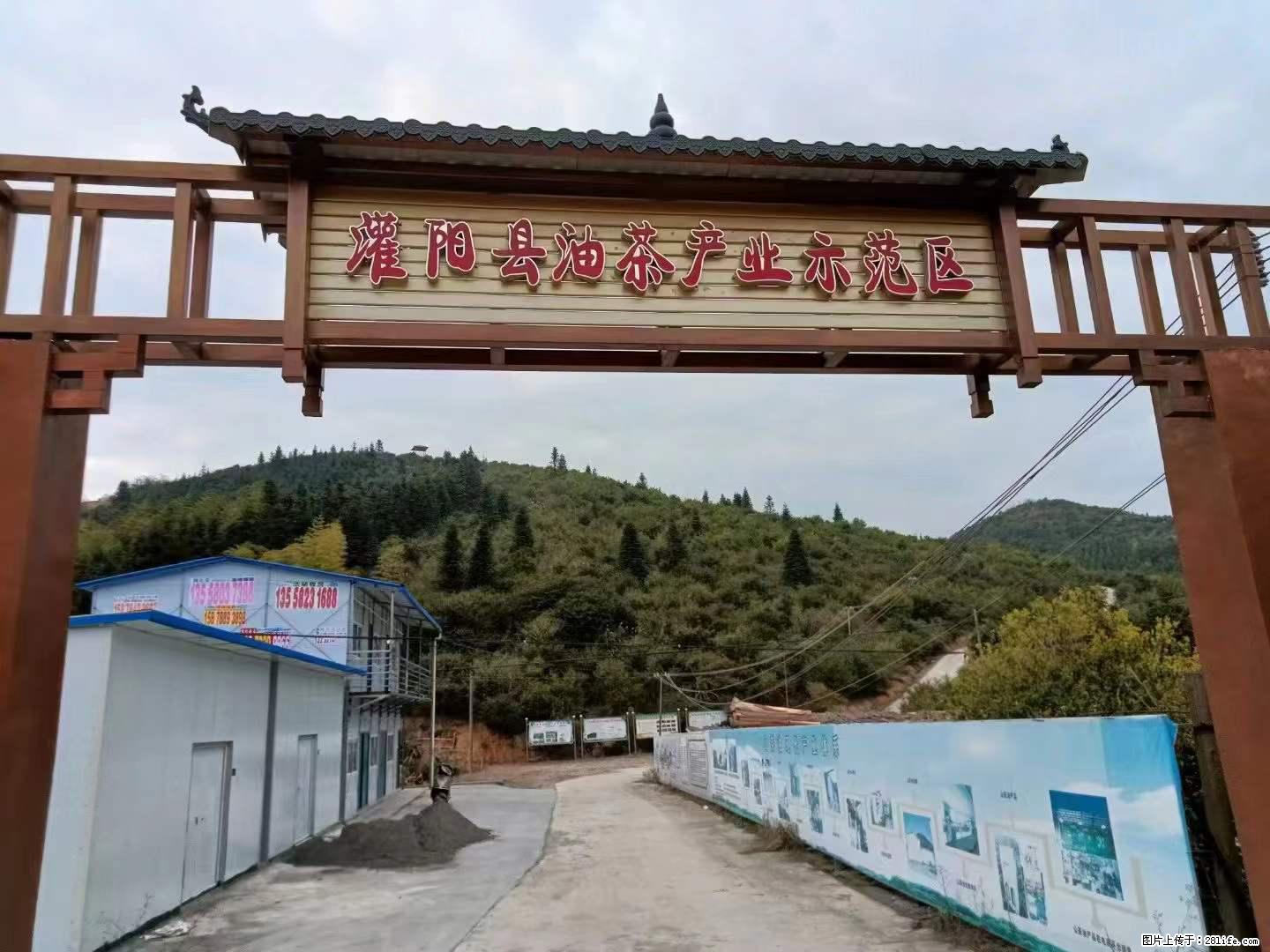【灌阳县油茶产业示范区】一个有着充实的精神生活的人，对待身外之物自会有一种淡泊的态度 - 土特产 - 饮食特产 - 包头分类信息 - 包头28生活网 bt.28life.net