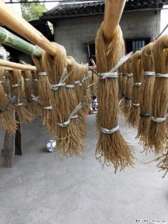 【灌阳正宗红薯粉】美女家里自己做的，干净卫生，假一赔十，价格合理，抢购电话：13737312895 - 包头28生活网 bt.28life.net