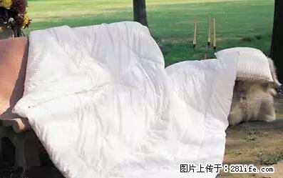 被子有异味？只要这样做，比晒太阳还强100倍！ - 家居生活 - 包头生活社区 - 包头28生活网 bt.28life.net