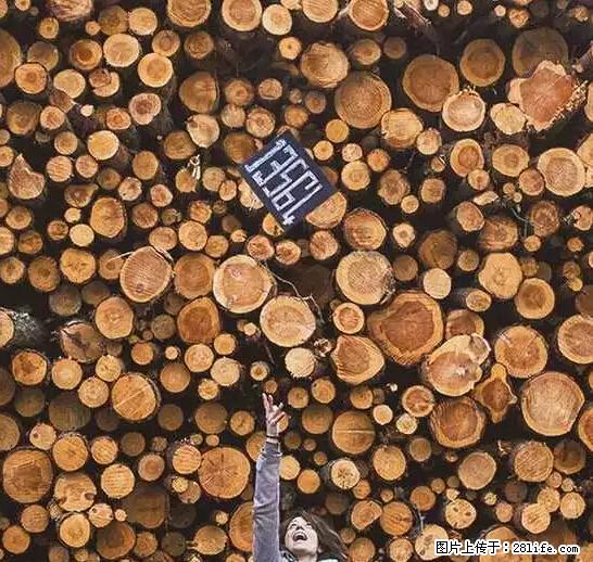 辞掉工作周游世界？现在他们在洗厕所…… - 游山玩水 - 包头生活社区 - 包头28生活网 bt.28life.net