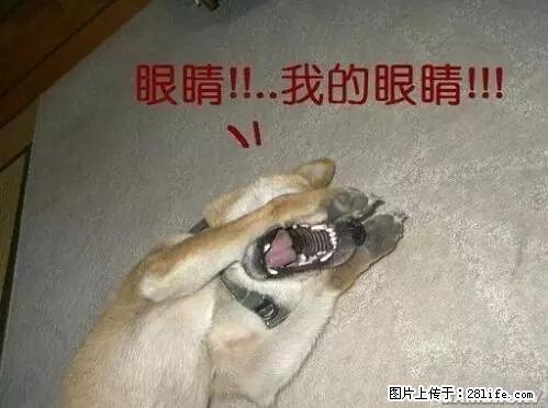 笑癫了！一女的怀孕三年未生，他终于忍不住了... - 娱乐八卦 - 包头生活社区 - 包头28生活网 bt.28life.net