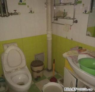 植物园北侧3楼2室2厅精装全套家具冰箱彩电淋浴器1500元 - 包头28生活网 bt.28life.net