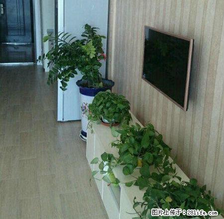 精装公寓，精装好房，家具家电都有 - 房屋出租 - 房屋租售 - 包头分类信息 - 包头28生活网 bt.28life.net