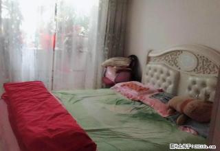 富强路7号街坊 家电齐全 手次出租 南北通透 精装修 九星 - 包头28生活网 bt.28life.net