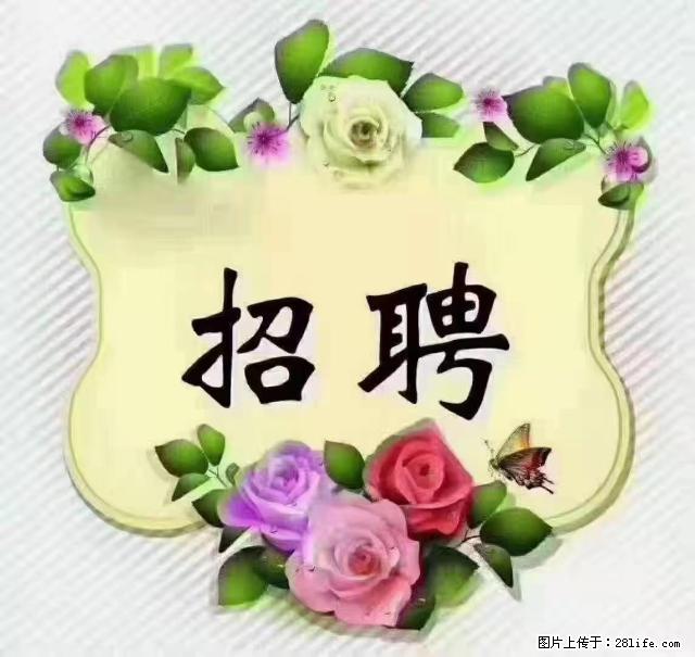 【招聘】住家育儿嫂，上户日期：4月4日，工作地址：上海 黄浦区 - 职场交流 - 包头生活社区 - 包头28生活网 bt.28life.net