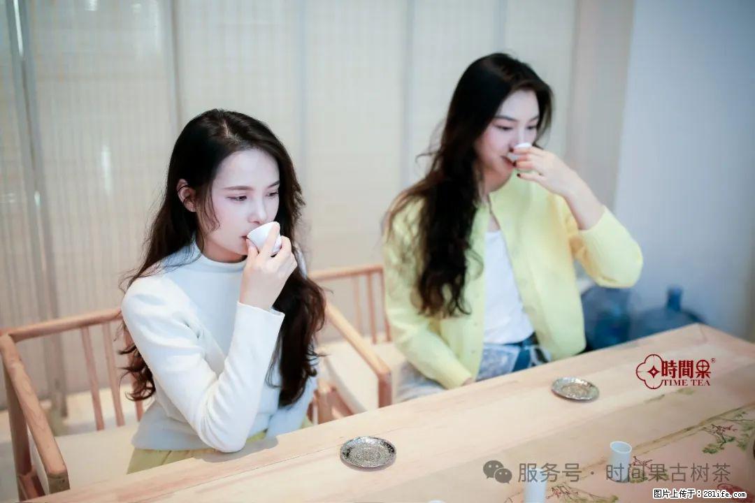 时间果百年古树龙珠普洱生茶 - 购物交流 - 包头生活社区 - 包头28生活网 bt.28life.net