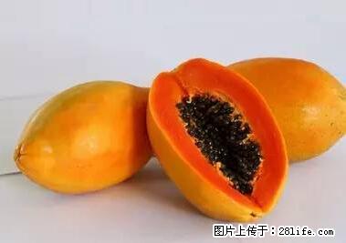 晕车、脚气、牙齿变黄、皮肤粗糙？学会这些三分钟搞定！ - 包头生活资讯 - 包头28生活网 bt.28life.net