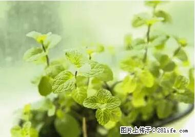 晕车、脚气、牙齿变黄、皮肤粗糙？学会这些三分钟搞定！ - 包头生活资讯 - 包头28生活网 bt.28life.net
