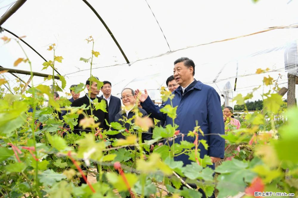 习近平赴广西考察调研 - 包头生活资讯 - 包头28生活网 bt.28life.net
