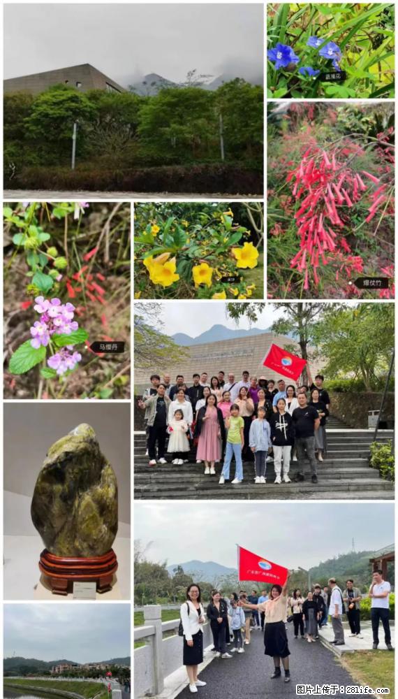 “粤灌文化 美好生活”油茶文化主题活动在广东深圳成功举办 - 包头生活资讯 - 包头28生活网 bt.28life.net