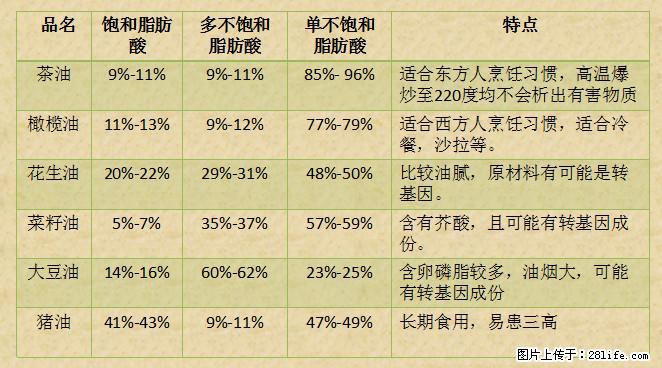 揭秘茶油的5大核心营养成分！被称为人体健康的“守护盾”！ - 包头生活资讯 - 包头28生活网 bt.28life.net