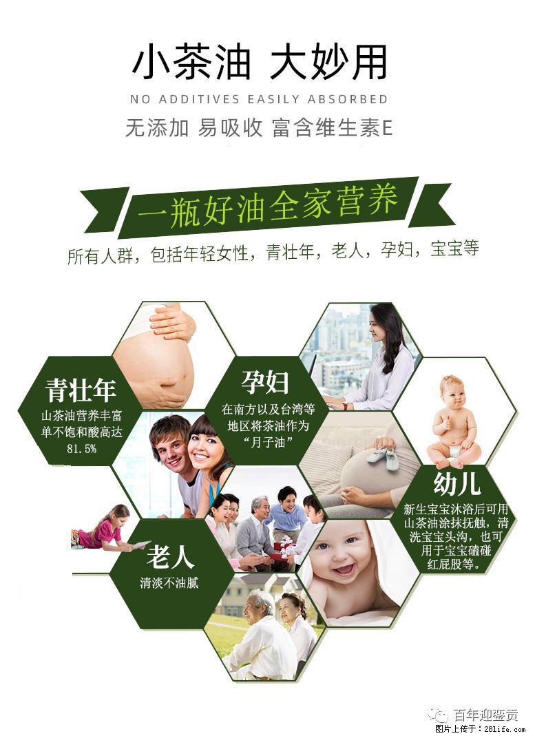 世界没有真相，只有认知，最好的食用油是中国的山茶油！ - 包头生活资讯 - 包头28生活网 bt.28life.net