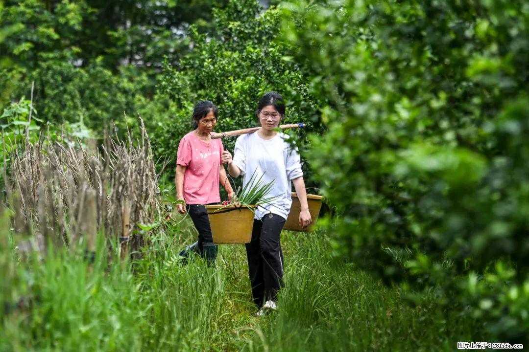 全网追的“扁担女孩”，找了一份暑假工，时薪12元 - 包头生活资讯 - 包头28生活网 bt.28life.net