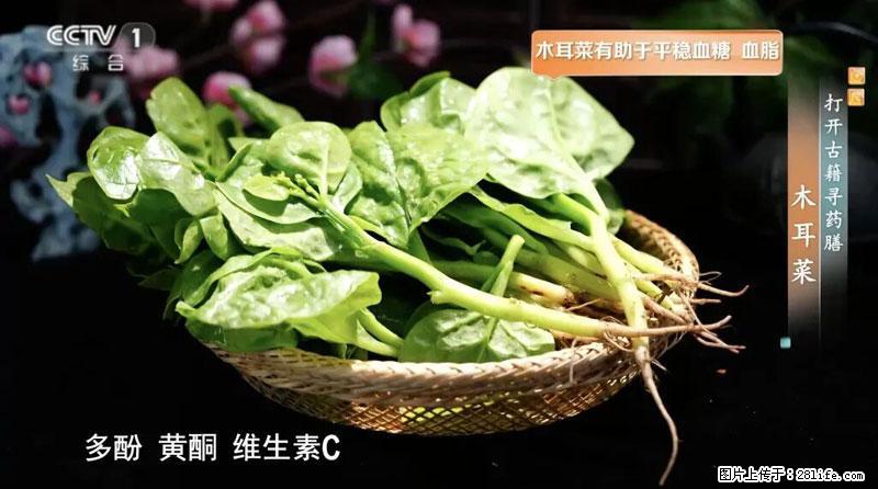 比牛奶补钙还厉害！凉血解毒、稳血糖...这菜冬天必吃，很多人却当草 - 包头生活资讯 - 包头28生活网 bt.28life.net