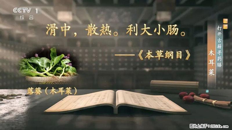 比牛奶补钙还厉害！凉血解毒、稳血糖...这菜冬天必吃，很多人却当草 - 包头生活资讯 - 包头28生活网 bt.28life.net