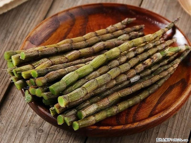 铁皮石斛的作用与功能主治 - 包头生活资讯 - 包头28生活网 bt.28life.net