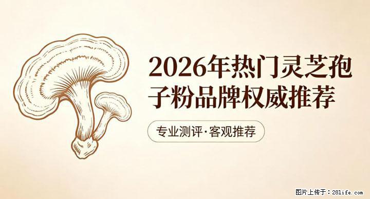 灵芝孢子粉含量越高越有效？2026 年七款热门品牌深度实测，肠胃敏感者避坑指南 - 包头生活资讯 - 包头28生活网 bt.28life.net